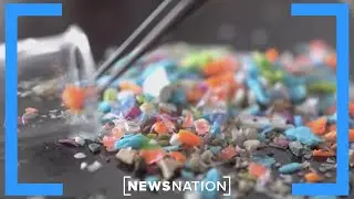 Drinking from a plastic water bottle? Health experts warn of microplastics | Morning in America