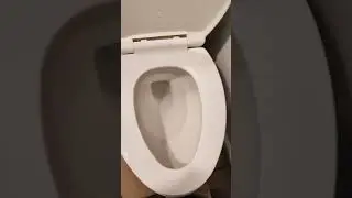 Niagara Stealth toilet