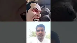 #funny #pets #animals #prank #cutedog #tamil #kuttistory #history #childrensbook #tamilstory