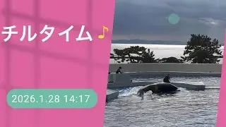 チルタイム♪ 2026.1.28 14:17