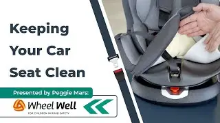 Your Car Seat Is Dirtier Than You Think | Cleaning Tips