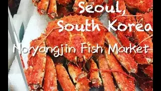 Noryangjin Fish Market | South Korea | 5 Minutes Trip