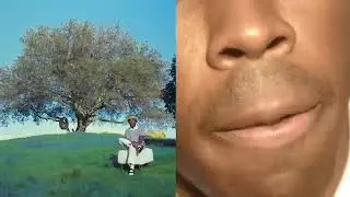 one second of every tyler, the creator music video (UPDATED)