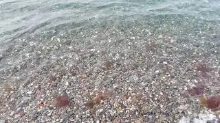 POINT of AYRE Shallow Waters | ISLE OF MAN 🇮🇲 tEAvEE 🎬 2K