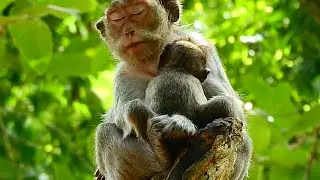 every time mom usually to take care and look after her baby all times even drink sleep too because a