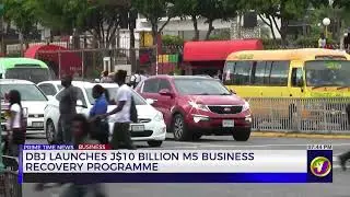 DBJ Launches J$10 Billion M5 Business Recovery Programme | TVJ News