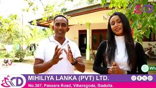 Badulla Town Nearby Valuable Land | High Return Investment Opportunity