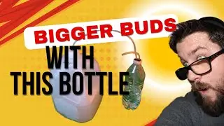 DIY CO₂ Generator for Your Grow Room &ndash; Sugar + Yeast Method!
