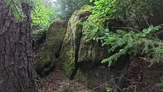 Mystische Felsformation mitten im Wald!