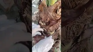 Most Amazing object you've ever seen
