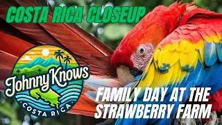 Family Day at the Strawberry Farm #health #costarica #ccss