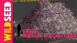 Ship Of Eagles: Edict 11/12 - Midnight Mass-ive Squid | Wildseed Comedy