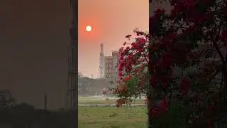 Spring 😍 #videography #ytshorts #nature #cinematography #bhfyp #fyp