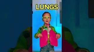 Let's Learn Together! 🧠 Body Secrets: Organs Inside Us!❤️ #kids #learn #bodypart