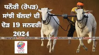 🔴[LIVE] ਧਨੋਰੀ (ਰੋਪੜ) ਬੱਲਦਾਂ ਦੀ ਸਾਂਝੀ ਖੇਡ 19 ਜਨਵਰੀ 2024