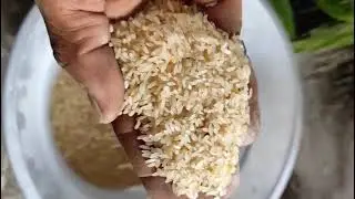 Single Phase Mini Rice Huller