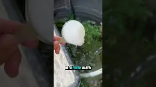 Насыпаю соль в ванну для черепахи 😨