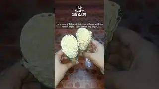 coconut icecream with different cone 😆 #coconut #icecream #subscribe #shorts #viral #youtube #yummy