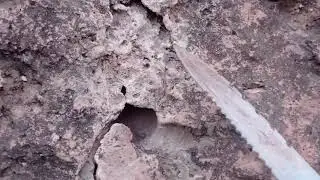مالك تحليل الاشارات والرموز الاستاذ ابو الجرار