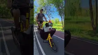Cargo bike + breeze = zero worries, 100% vibes 🐶 #travelwithdog #cargobike