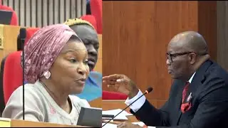 Senate Drama Kingibe Fights Back as Akpabio, Senators Shut Down Wike Motion...