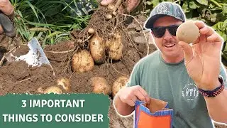 HOW TO PICK THE PERFECT GARDEN SPOT! (for potatoes)