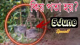 5 June || June 5 Environment Day || June 5