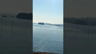 #Goa2022