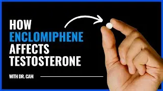 How Enclomiphene Affects Testosterone - Is it Safe?