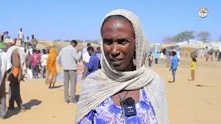 ሰርቢ ልምዓት መበል 28 ክፋል