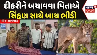 Gir Somnath News: દીકરીને બચાવવા પિતાએ સિંહણ સાથે બાથ ભીડી| Lion Attack | Father | Daughter | News18