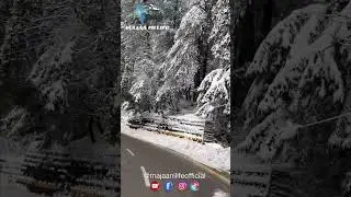 Winter in Kalam - Road Side Covered with Snow | Pakistan Beauty #viral #trending #pakistan #winter
