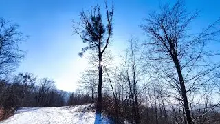 Acceleratu' dă Băbolia. 17 ianuarie 2026