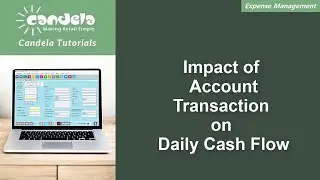 Retail Software: Impact of Account Transaction on Daily Cash Flow