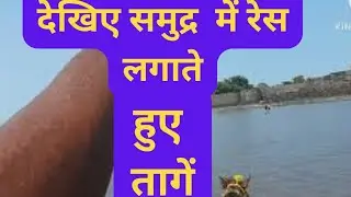 समुद्र में धोड़ा गाड़ी की रेस| Kolabafort|Alibaugh Beach|Riders destination|vijaykhurana tech