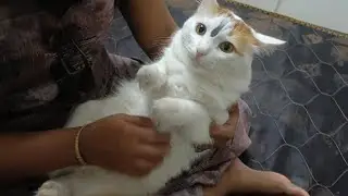 बबड्या:-आई आणि आम्ही बेडवर झोपणार आहोत तुम्ही हॉलमध्ये जा बाबा तुम्हाला जागा नाही!