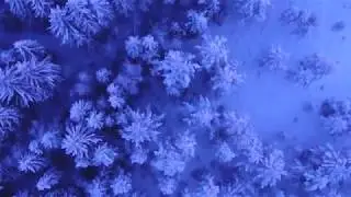 Doc Your World 2019 Promo