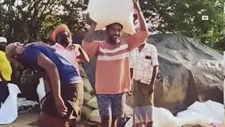 Real Hard Work! Rice Bag Packing & Lorry Loading | Village Labor Life #rice