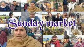  Sunday Market latest update Hazro Atwar Birds Market Sstreet food cheap fruits landa Bazar vlog PK