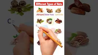 Identifying Nuts: A Comprehensive Guide to Different Types #shorts #engliahvocabulary #learnenglish