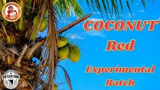 COCONUT RED - Experimental Batch - Sookram's Brewing - Courtesy of Alan @OneFlightDownWpg - Ep. 726