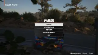 EA SPORTS WRC_ford puma wrc.bad luck? Or skill ish