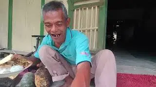 muleh soko kantor ususe kaliren