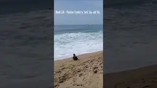 🌊 Unforgettable beach day, seaside joy🌴