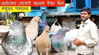 খুব ছোট থেকেই ইচ্ছা কবুতর পালনের | ৫ জোড়া কবুতর দিয়ে শুরু ১০৫ টি কবুতরের মালিক হওয়ার গল্প |#223