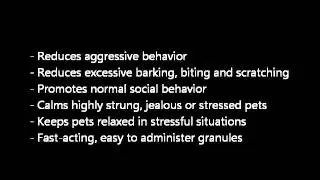 Dog On Dog Aggression Solution