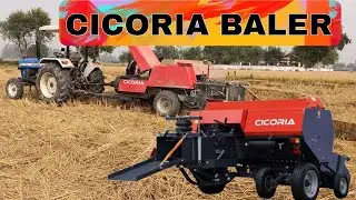 CICORIA BALER 2023 ਪਰਾਲੀ ਦੀ ਗੰਢ- ਵੇਲਰ ਦੀ ਵੀਡੀਓ ਪਿੰਡ (ਮਿਓਵਾਲ ) 7-11-23