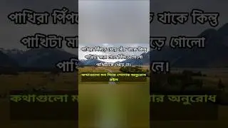বাস্তব কিছু কথা | Powerful inspirational speech in Bangla | Heart Touching Motivational Quotes|Ukti