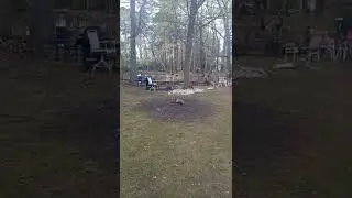 #BirdWhisper Canadian Geese Females have Built their Nesting areas.  #CanadianGeese