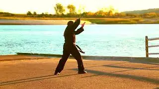 Kempo Karate - Stature of The Crane